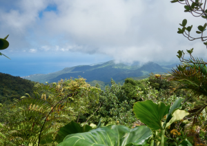 contenu point culturel Guadeloupe mille et une langues