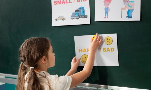 EMOTIONS – ANGLAIS